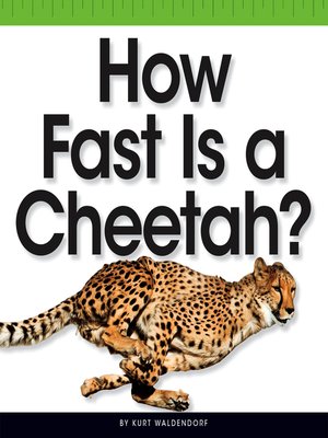 cover image of How Fast Is a Cheetah?